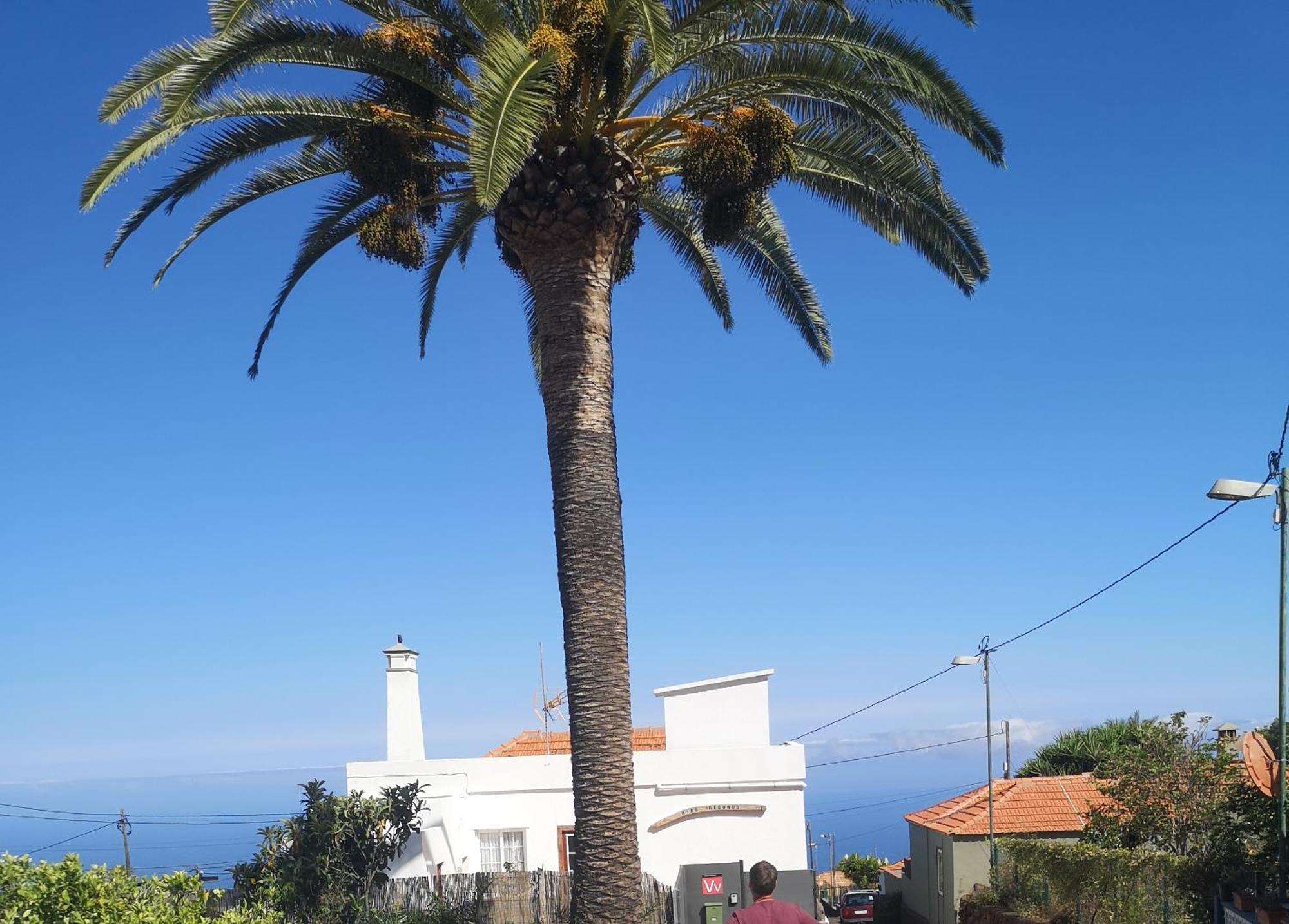 Pino Redondo Villa Puntagorda Dış mekan fotoğraf